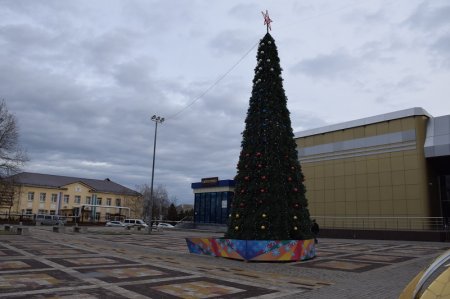 Новогодняя елка в Крымске