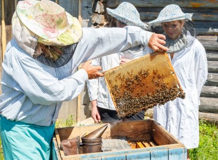 Выемка мёда из улья