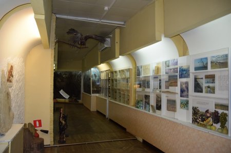 Панорама музея